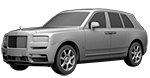 RR31